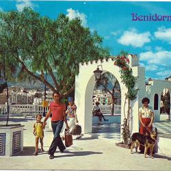 Carte Postale Berger Allemand 46