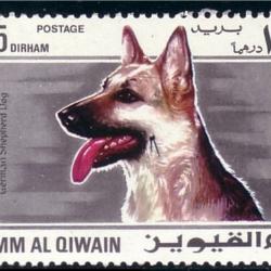 Timbre Berger Allemand 10