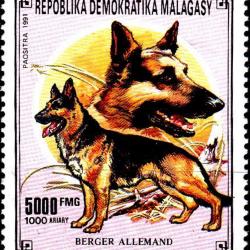 Timbre Berger Allemand 11