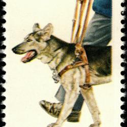 Timbre Berger Allemand 13