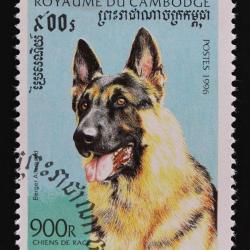 Timbre Berger Allemand 14