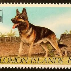 Timbre Berger Allemand 16