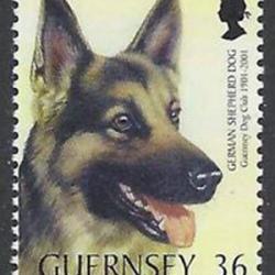 Timbre Berger Allemand 19