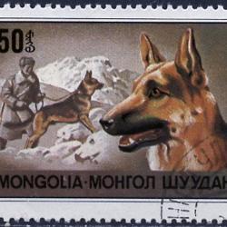 Timbre Berger Allemand 1