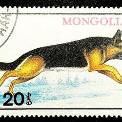 Timbre Berger Allemand 20