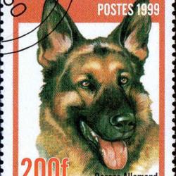 Timbre Berger Allemand 34