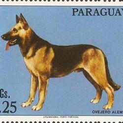 Timbre Berger Allemand 41