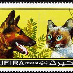 Timbre Berger Allemand 54