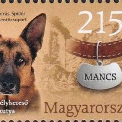 Timbre Berger Allemand 57