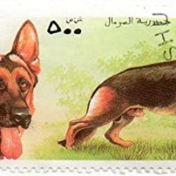 Timbre Berger Allemand 65