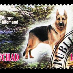 Timbre Berger Allemand 68