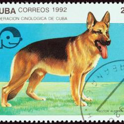 Timbre Berger Allemand 73