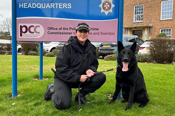 Le berger allemand Stan sacré meilleur chien de police pour le travail criminel