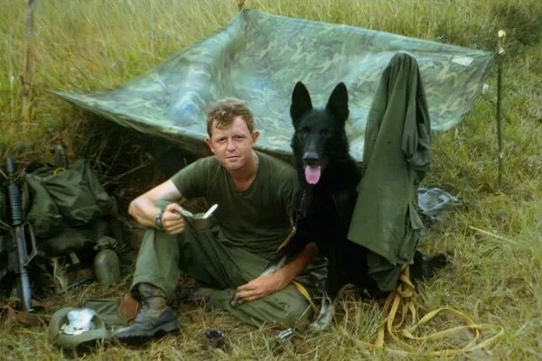 Le rôle d'un maître-chien de reconnaissance au Vietnam mis en lumière