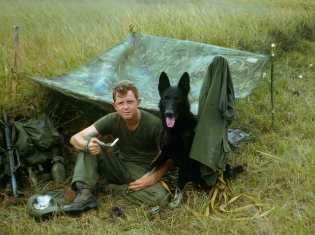 Le rôle d'un maître-chien de reconnaissance au Vietnam mis en lumière