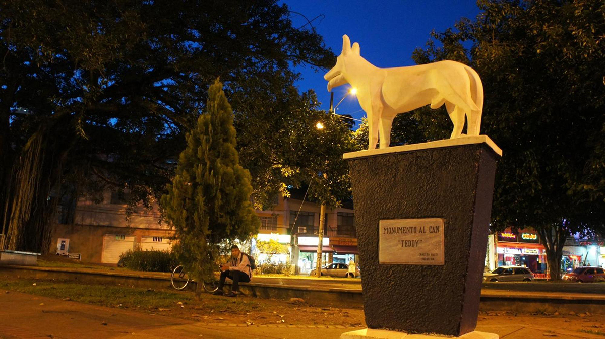 Teddy, le Berger Allemand qui a donné son nom au Parque del Perro