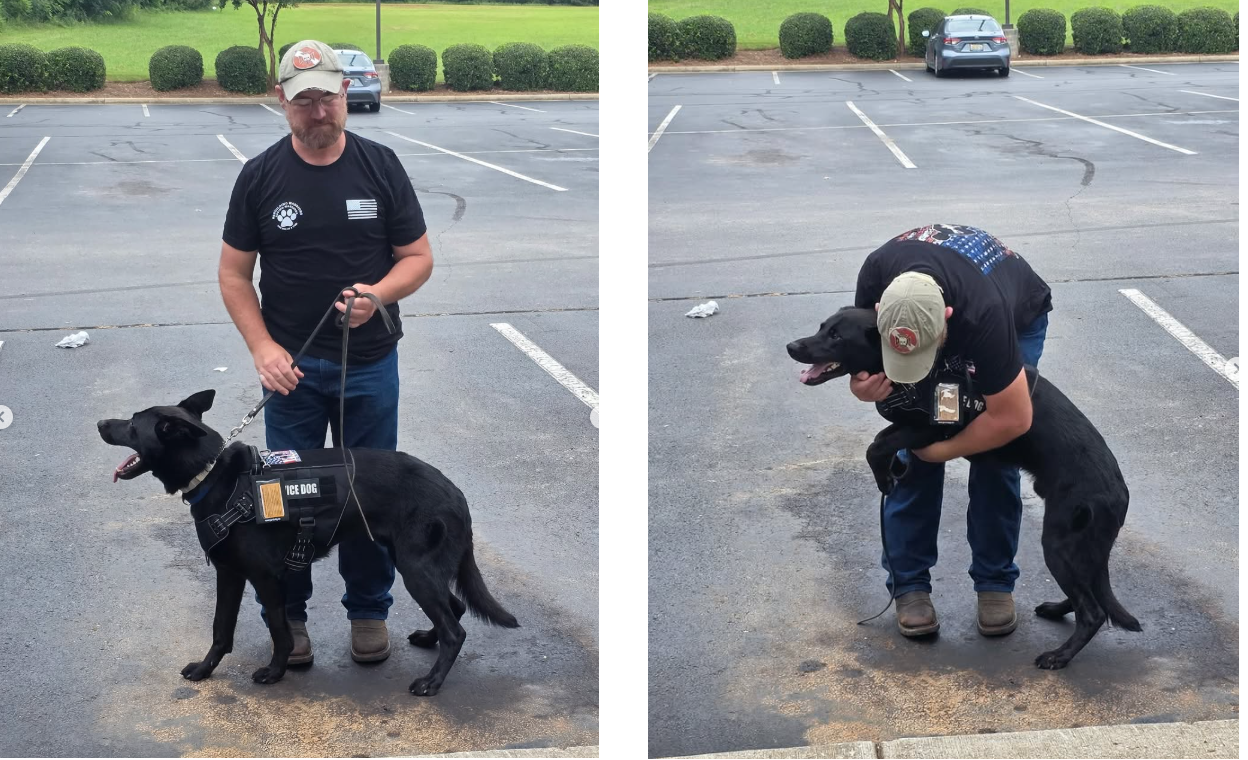 Titan, le chien qui a redonné espoir à un vétéran américain