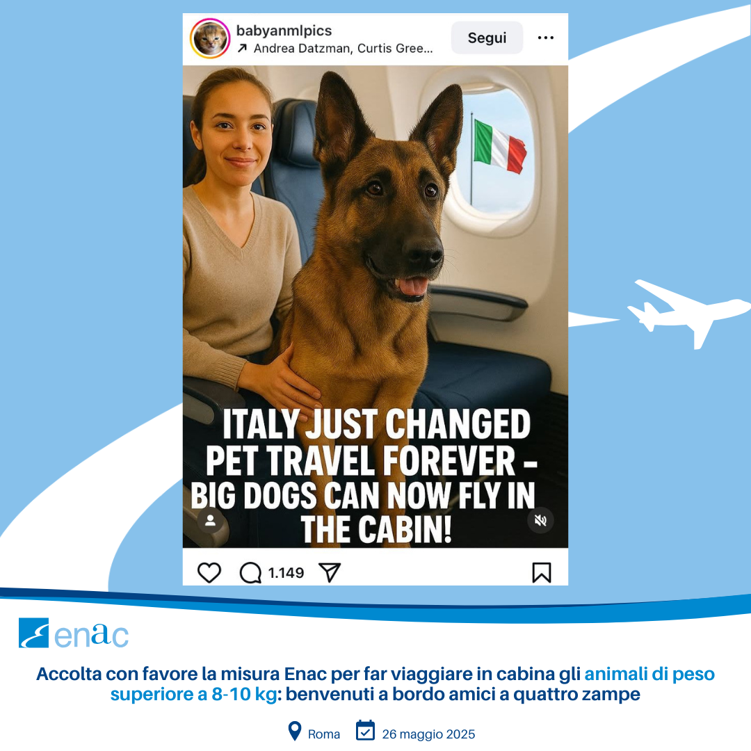 En Italie les chiens de grande taille pourront désormais voyager en cabine aux côtés de leurs maîtres.